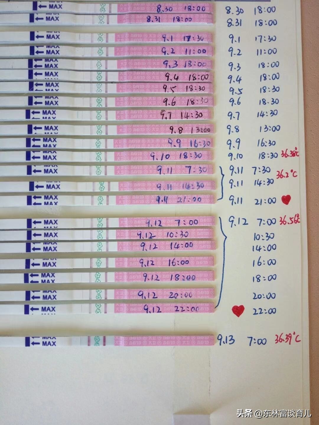 科学备孕测卵泡,科学备孕如何测精子活力