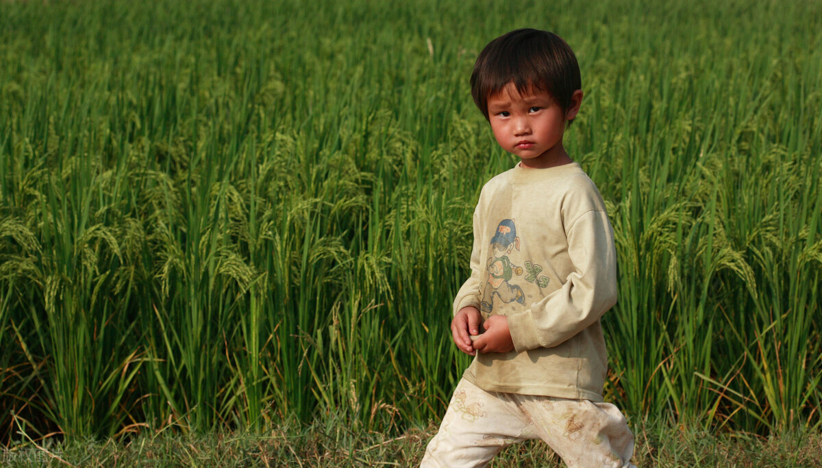 老鼠进家门被老鼠吃掉,老鼠偷吃小孩的食物
