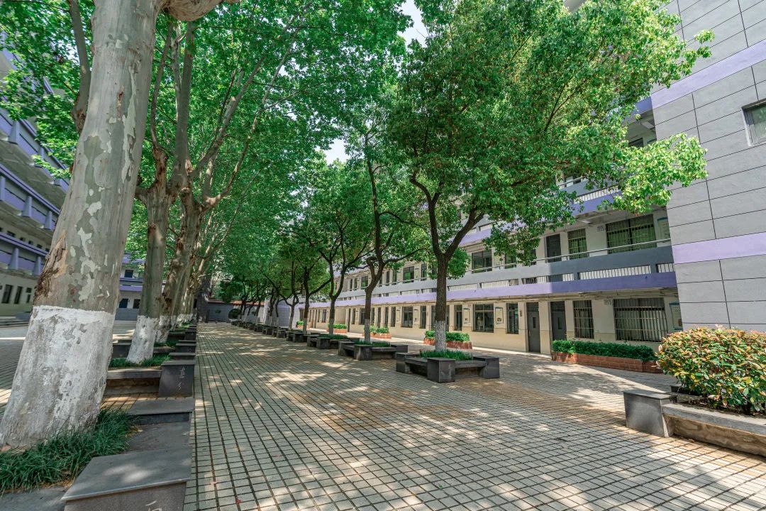 南京有几所好的高中排名,南京口碑最好的大学