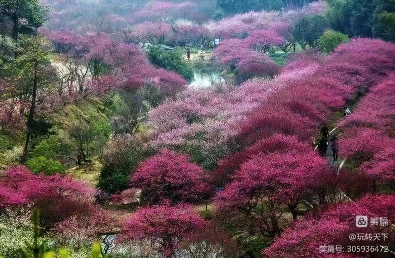 安吉大竹海景区自驾攻略,安吉竹海一日游旅游攻略图