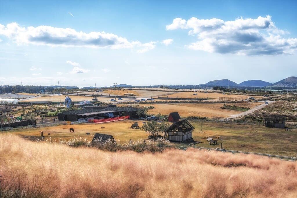 济州岛免签怎么呆90天,免签去济州流程