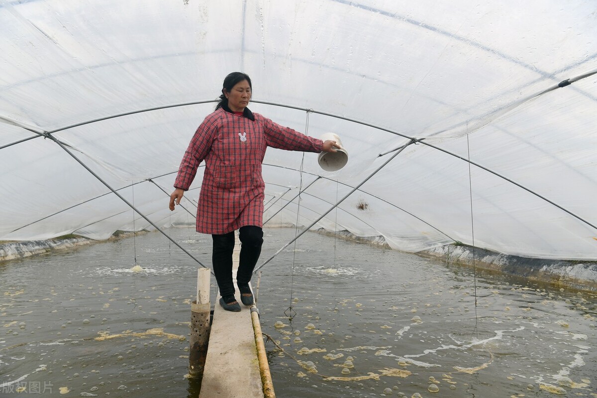 湖北华沃水产养殖,湖北孝感华沃生态农业公司可靠吗