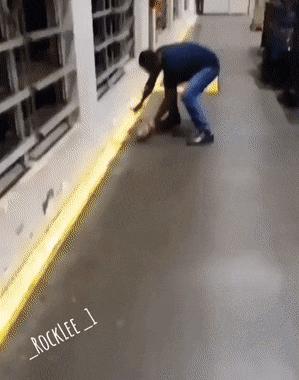 20张罕见的动物图片你看过几张,100张罕见动物照片