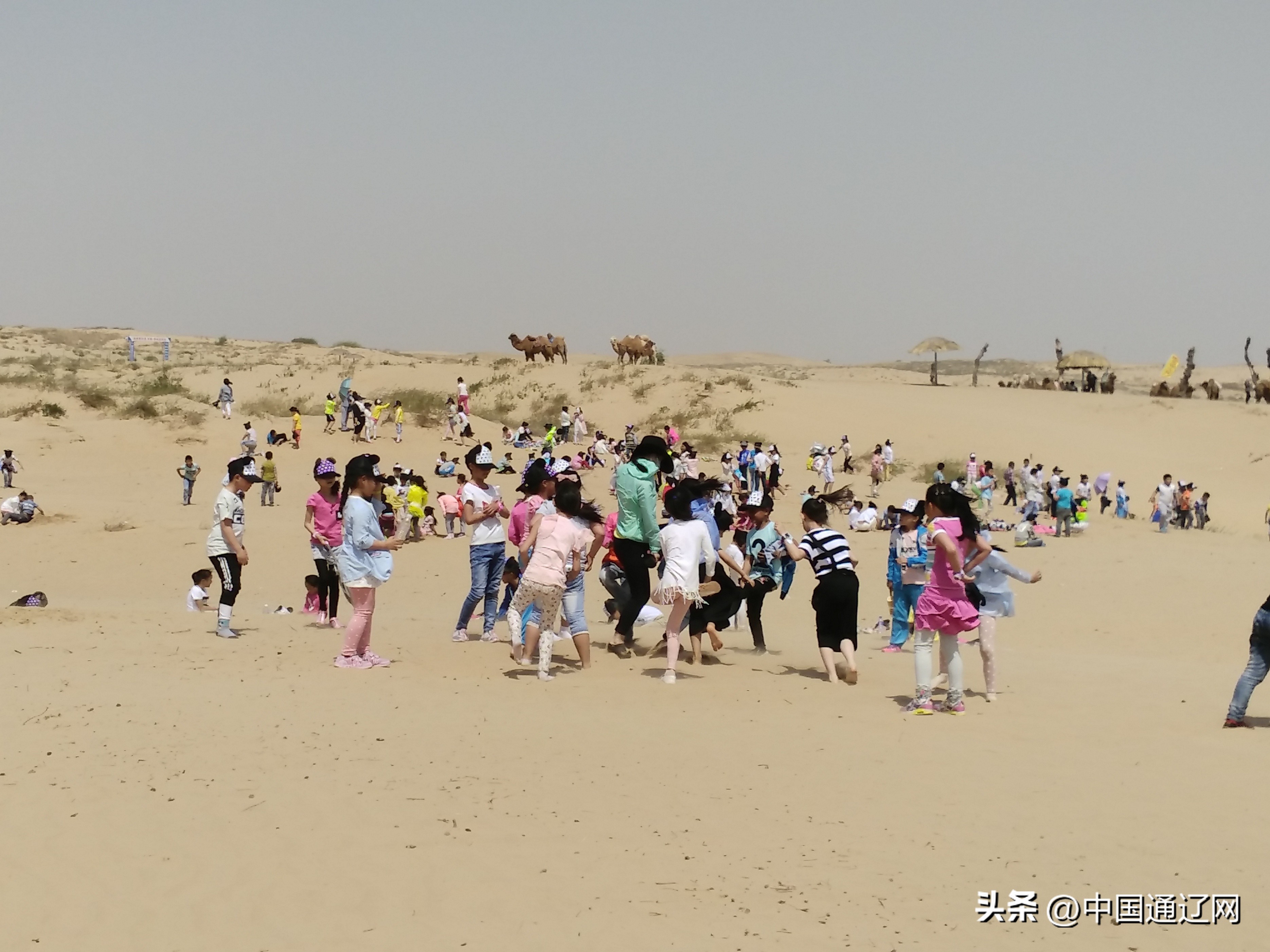 双减政策下的实验小学,奈曼旗实验小学五年七班