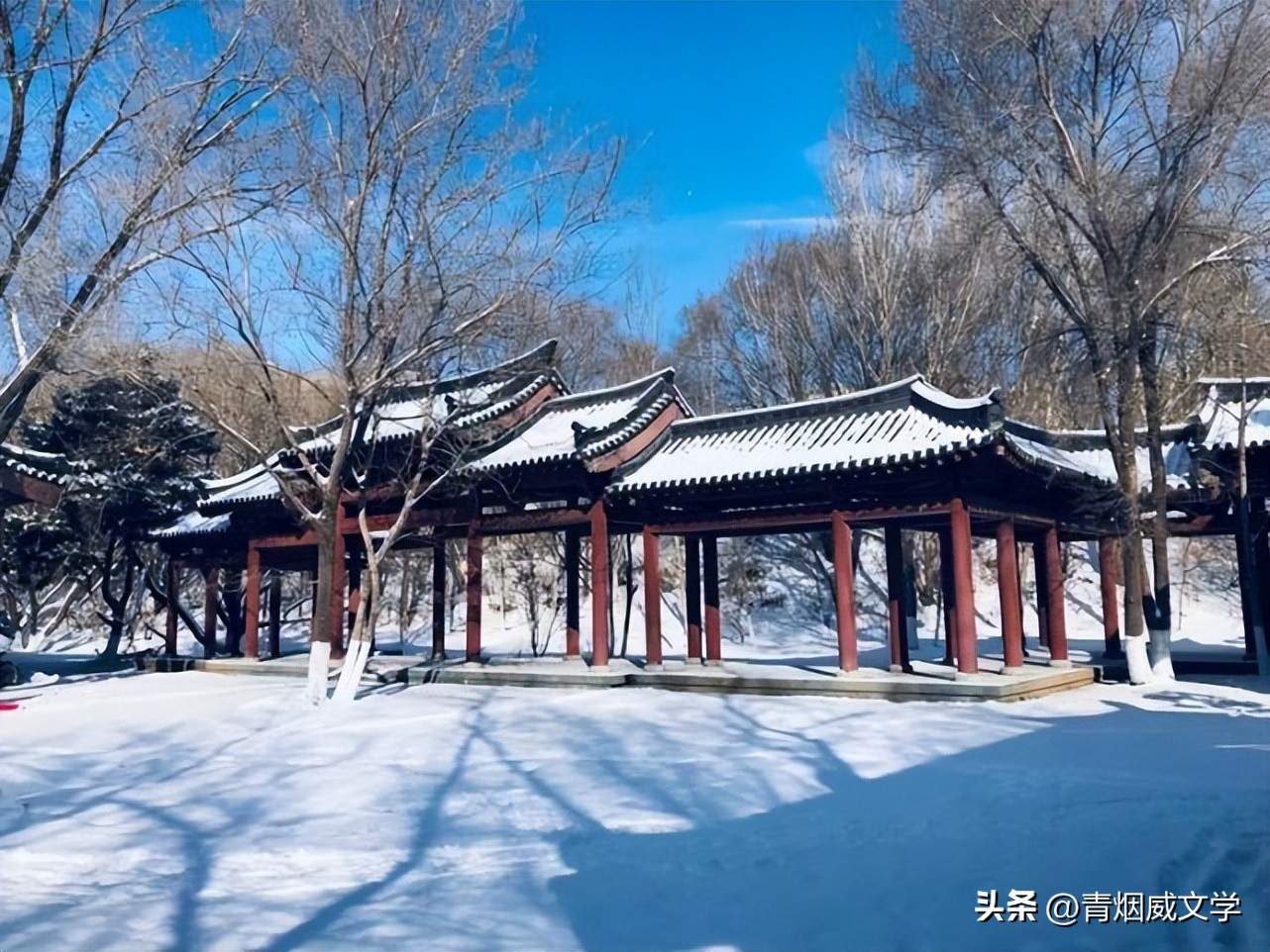 七律小寒随吟,小寒节气的现代七律