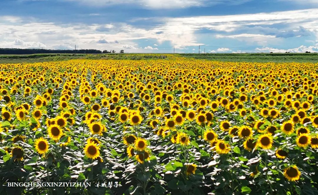 中俄边境线上的小城：逊克，披着“红珠绿边银装”的生态边城