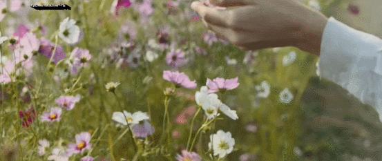 韩国电影的尺度，再次被刷新了