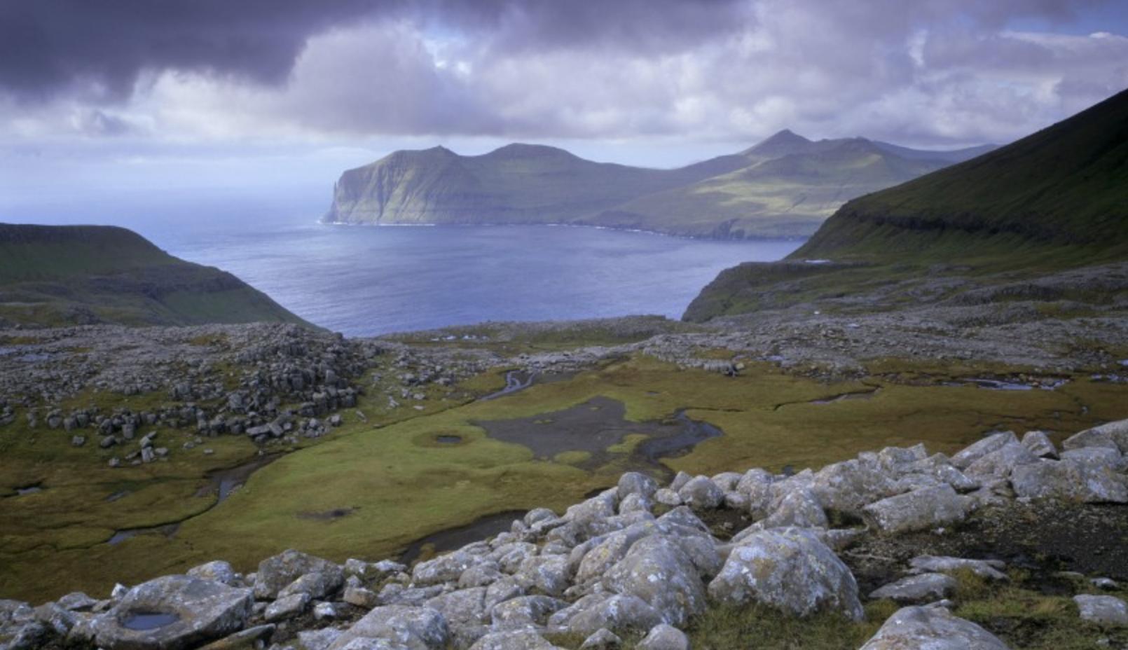 为什么都说不能和处女座谈恋爱,为什么说不要和处女座比魅力