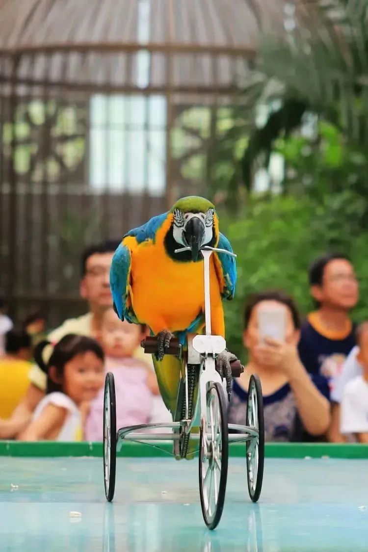 【FENG娱】王佐镇：娱乐+科普+自然，暑假解锁亲子出游新方式！