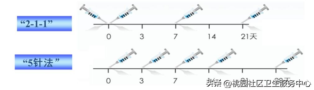 被动物咬伤抓伤请规范处置,被猫抓伤咬伤要打疫苗吗