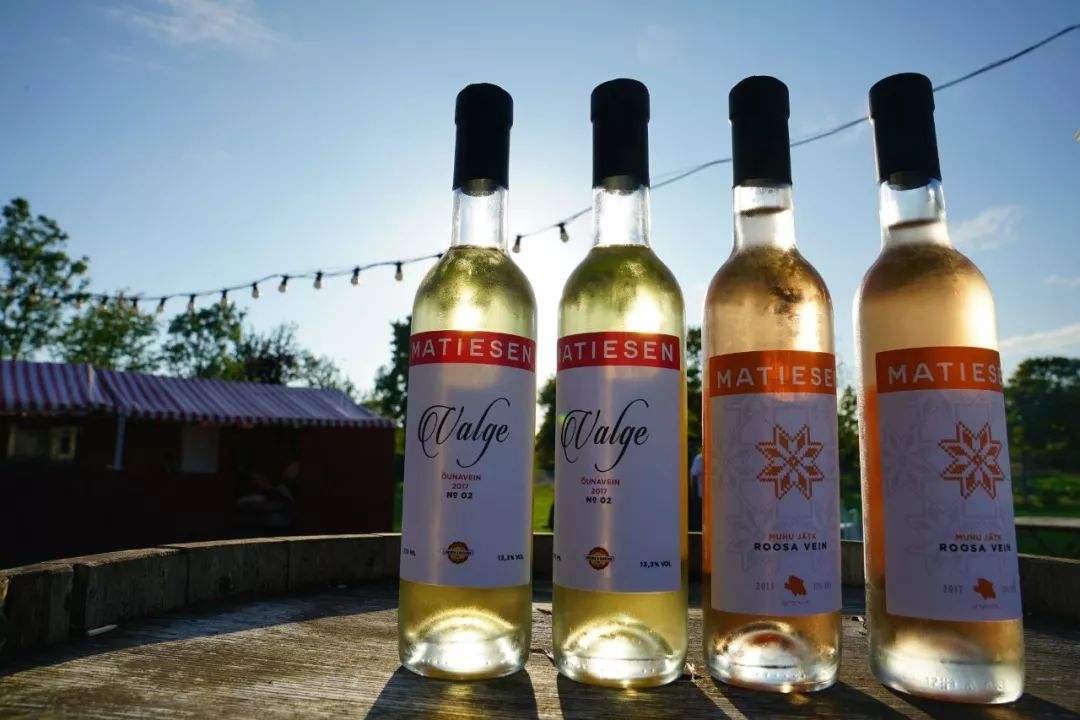 爱沙尼亚为什么那么富裕,爱沙尼亚有多强大