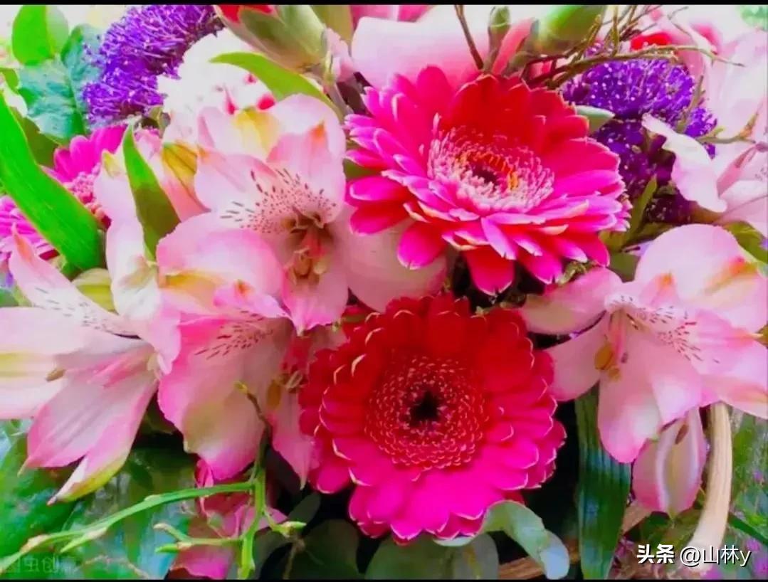 十大绝美花朵,绝美花朵视频