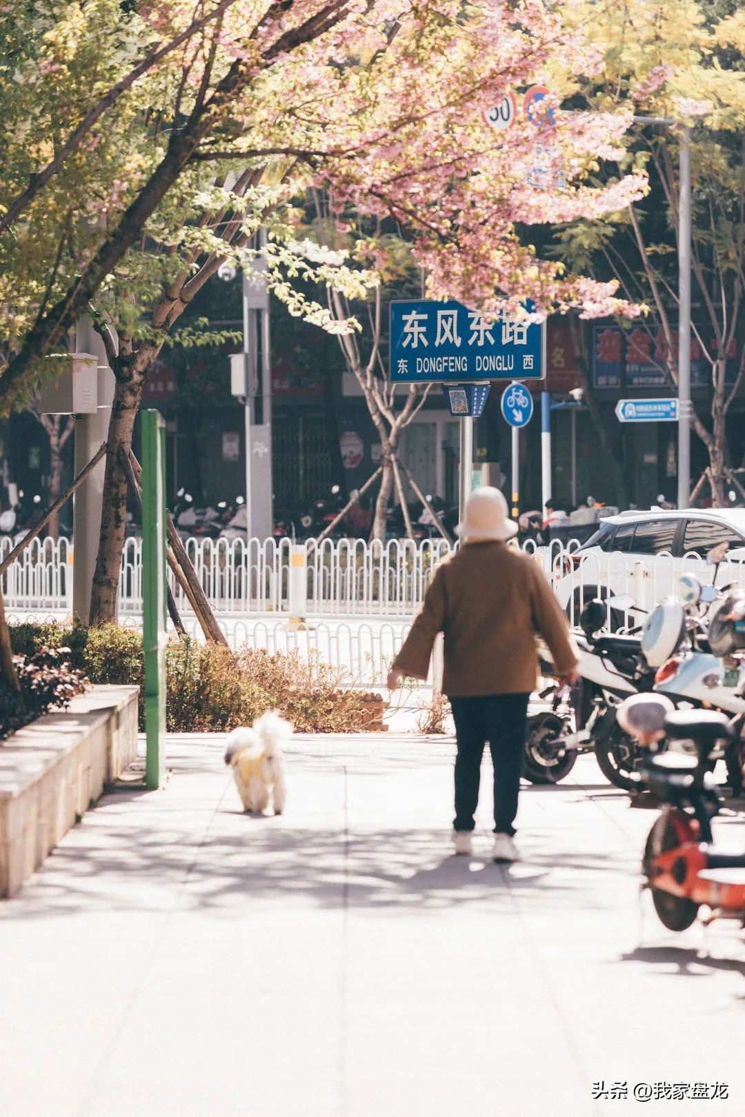 心之向往是昆明好有意思在盘龙|凉风初夏,去看电影吧!