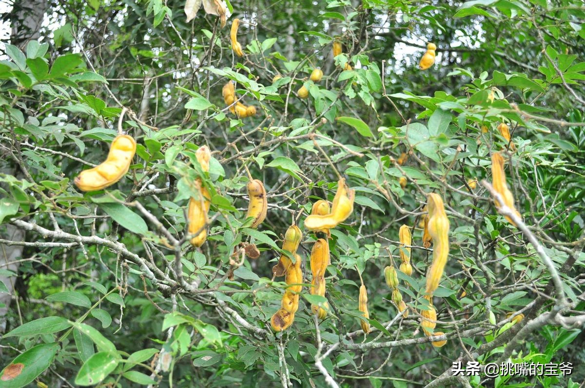 国土面积小于三万的国家,国土面积不足的省