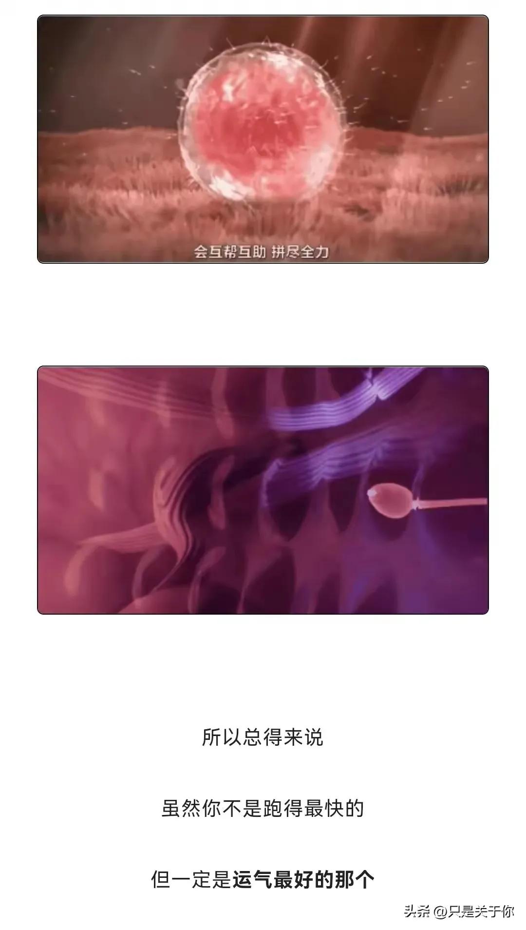 憋了10天的精子质量还好吗,憋了半个月的精子质量如何