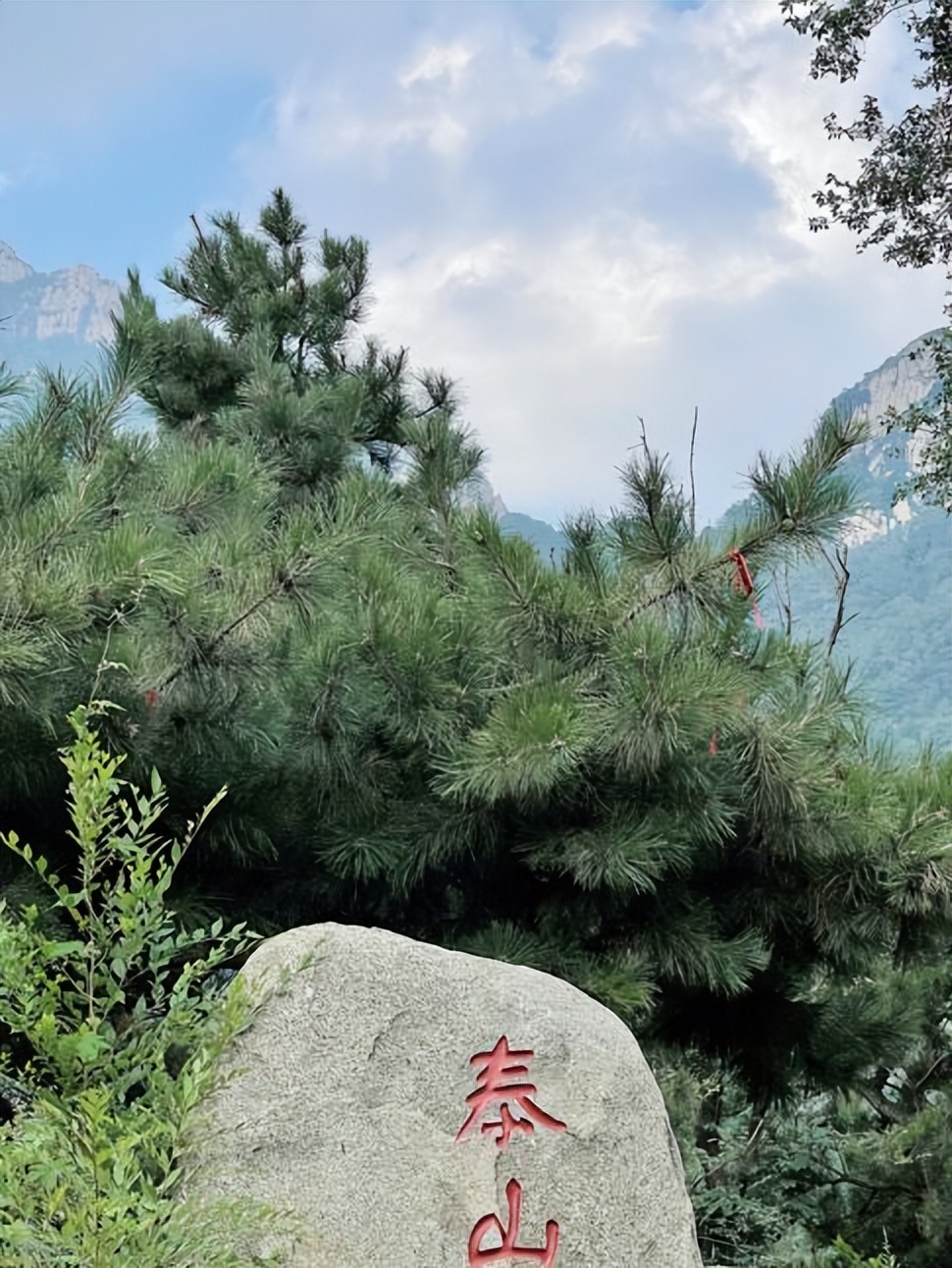 天下奇观泰山,泰山天下雄