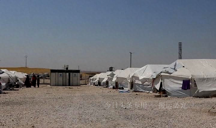 这里的女生强迫男孩当*奴性**就为了让自己怀孕，探究ISIS