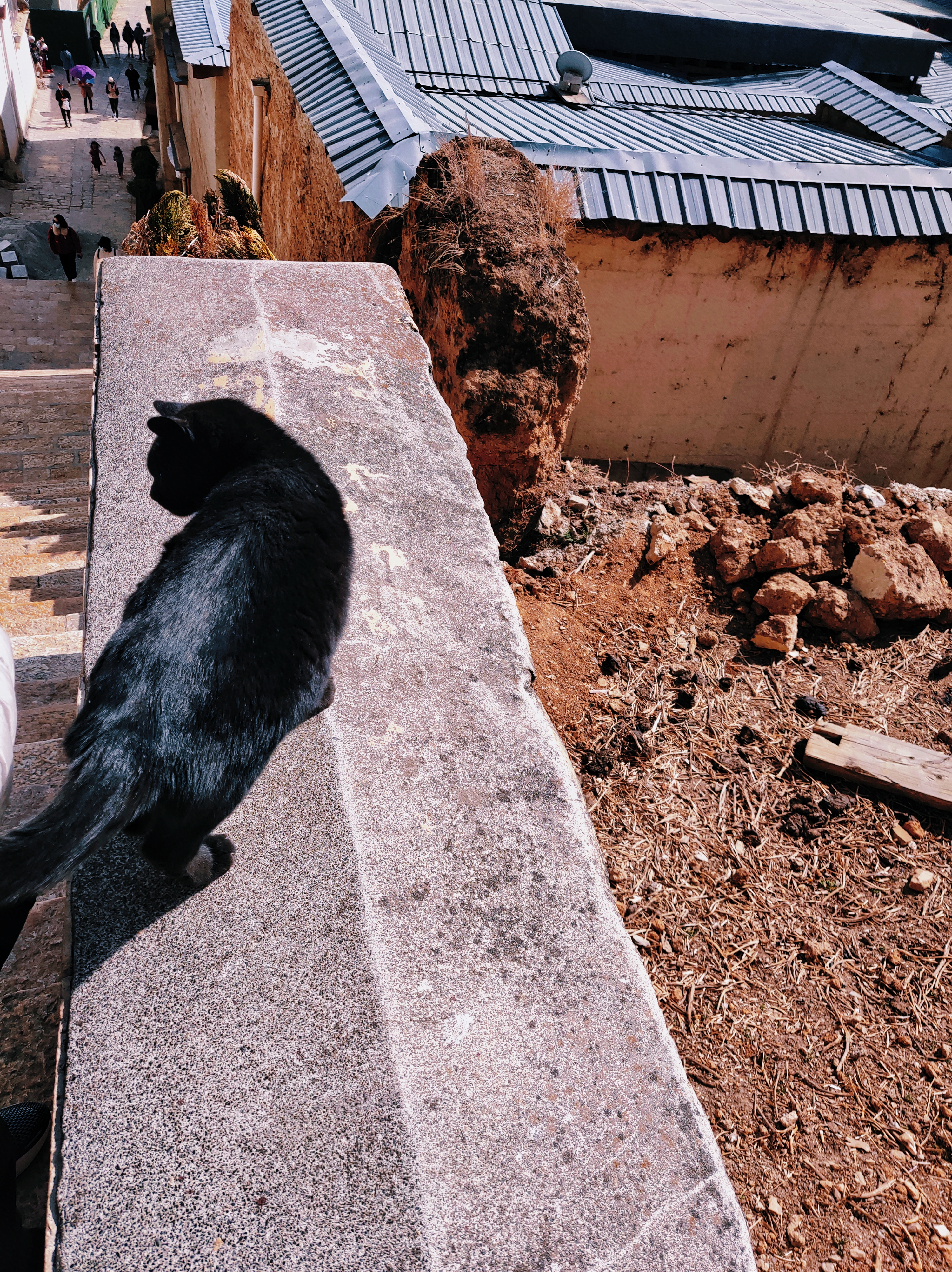 我和那个僧侣的故事：那一刻，世界消失了，唯余我与他