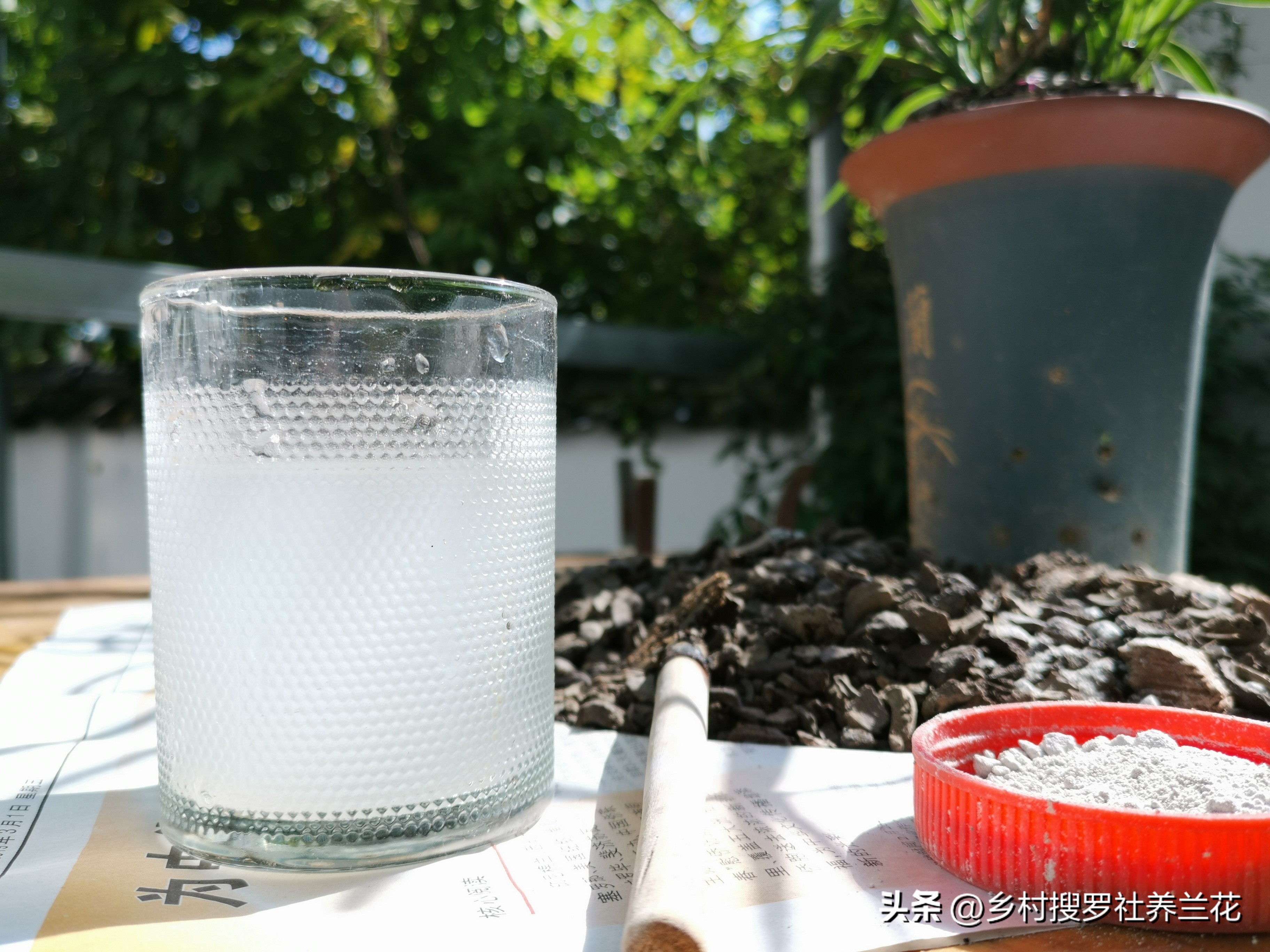 蕙兰开花浇什么水最好,养大花蕙兰什么时候控水
