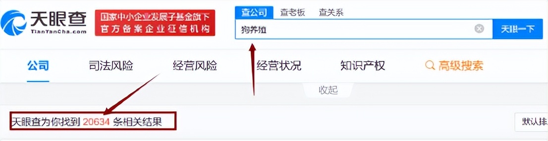 关于对狗肉的看法,关于对狗的评价