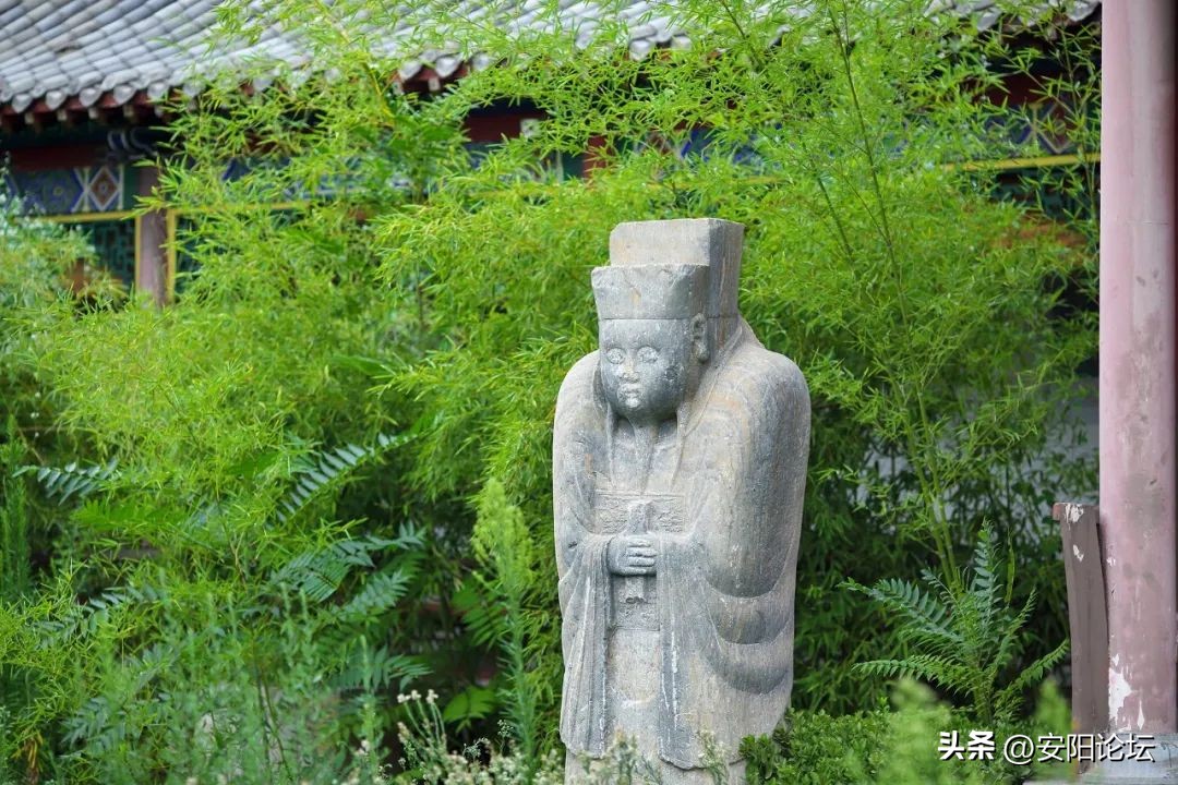 老城印象装饰,老城印象朗读