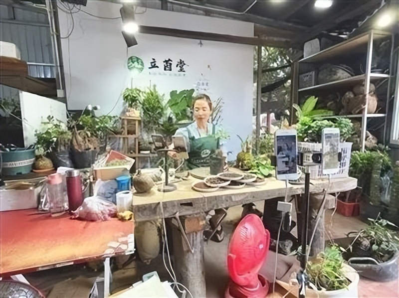 腾冲乡村振兴扬帆起航,腾冲发展乡村旅游的智力支持