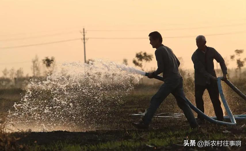 农民赚钱的十大特点,为什么说农民赚钱难