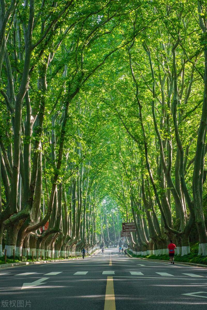 喜欢美食的朋友不要错过,喜欢美食的人要去哪些城市旅游