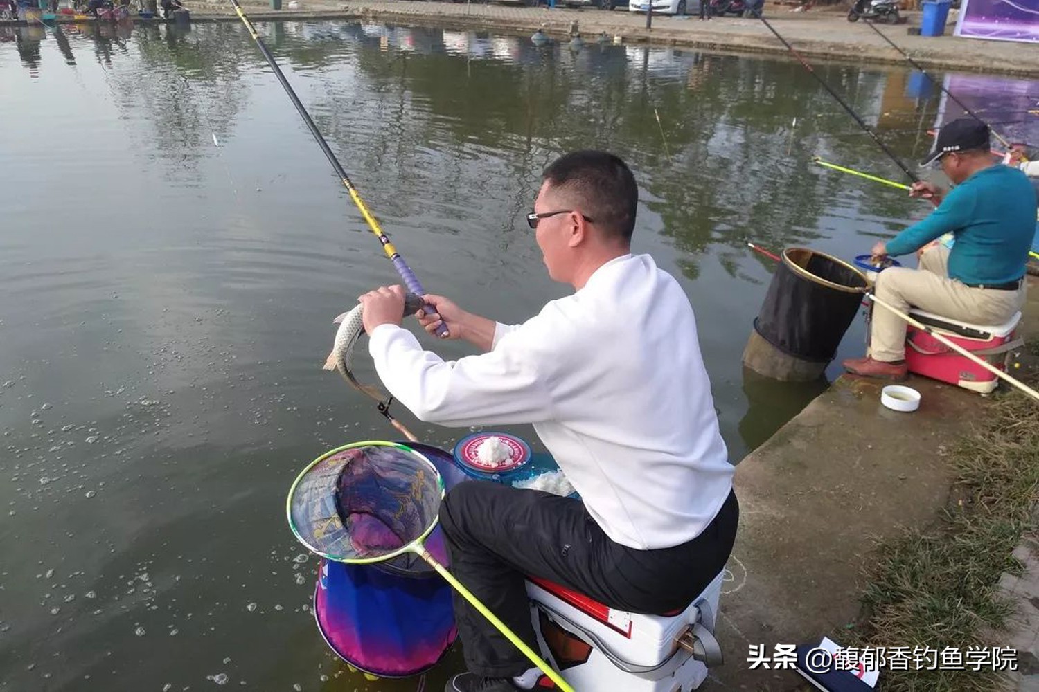 秋季黑坑钓鱼不开口怎么办,黑坑钓鱼不咬钩怎么回事