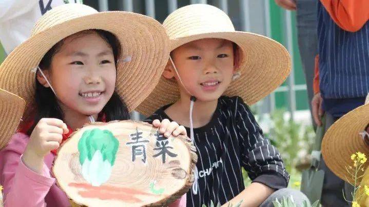 名师数学直播课,数学教学技巧直播