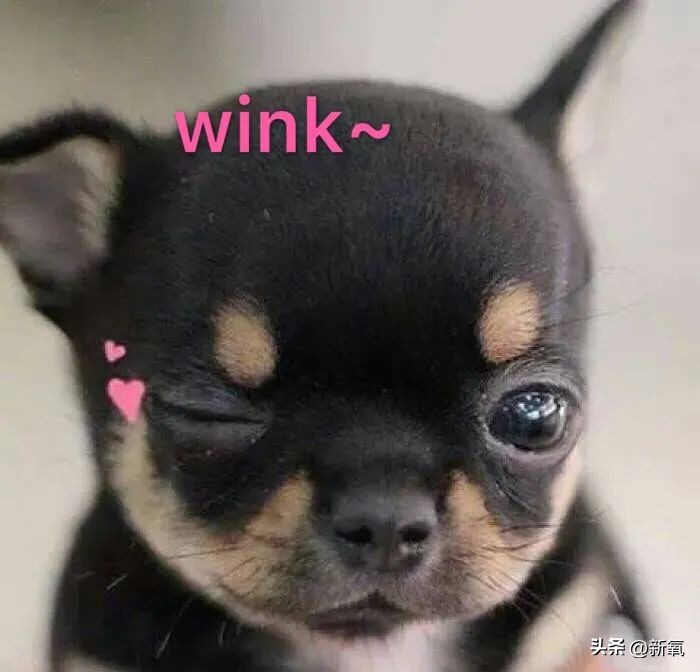 鞠姐红衣造型,鞠姐同款妆容