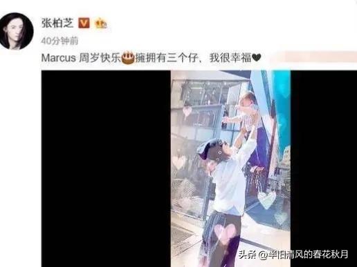 香港影星张柏芝,上海张柏芝的视频