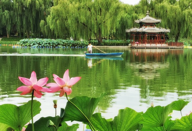 2009年5月文化人的北京聚会6、5月24日晴：参观游览及采风