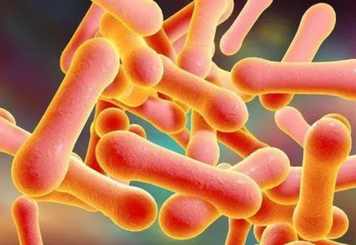 各种性疾病的传播途径,通过性传播的八种疾病