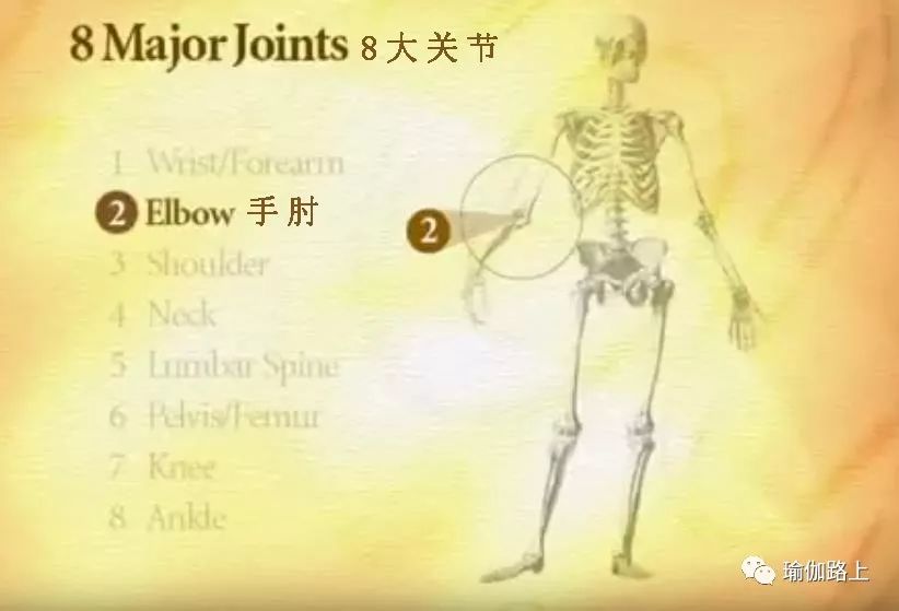 练瑜伽半年怎么走向高阶体式,练瑜伽我们不需要追求高难度体式