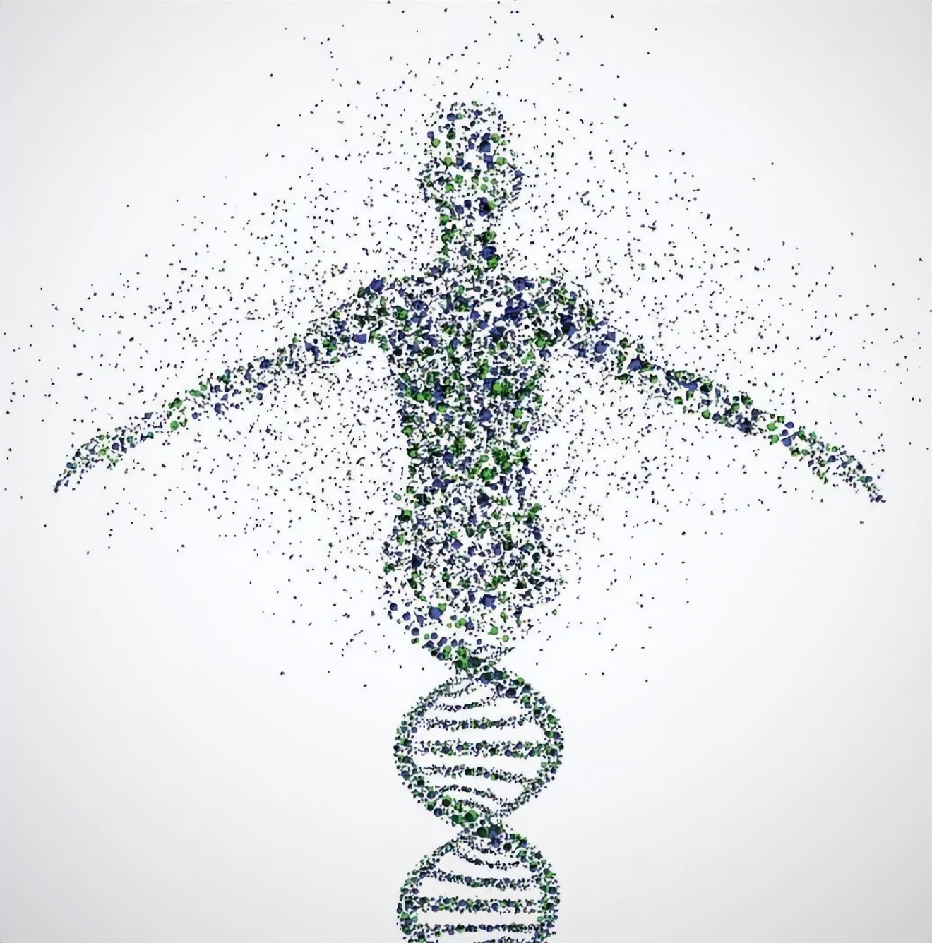 为什么日本人要杂交胚胎实验,日本人的杂交实验成功了吗