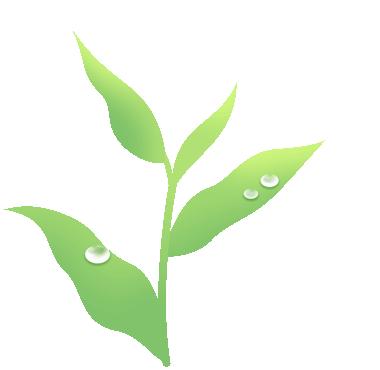 历年真题答题方法,历年真题考点归类练习与自测