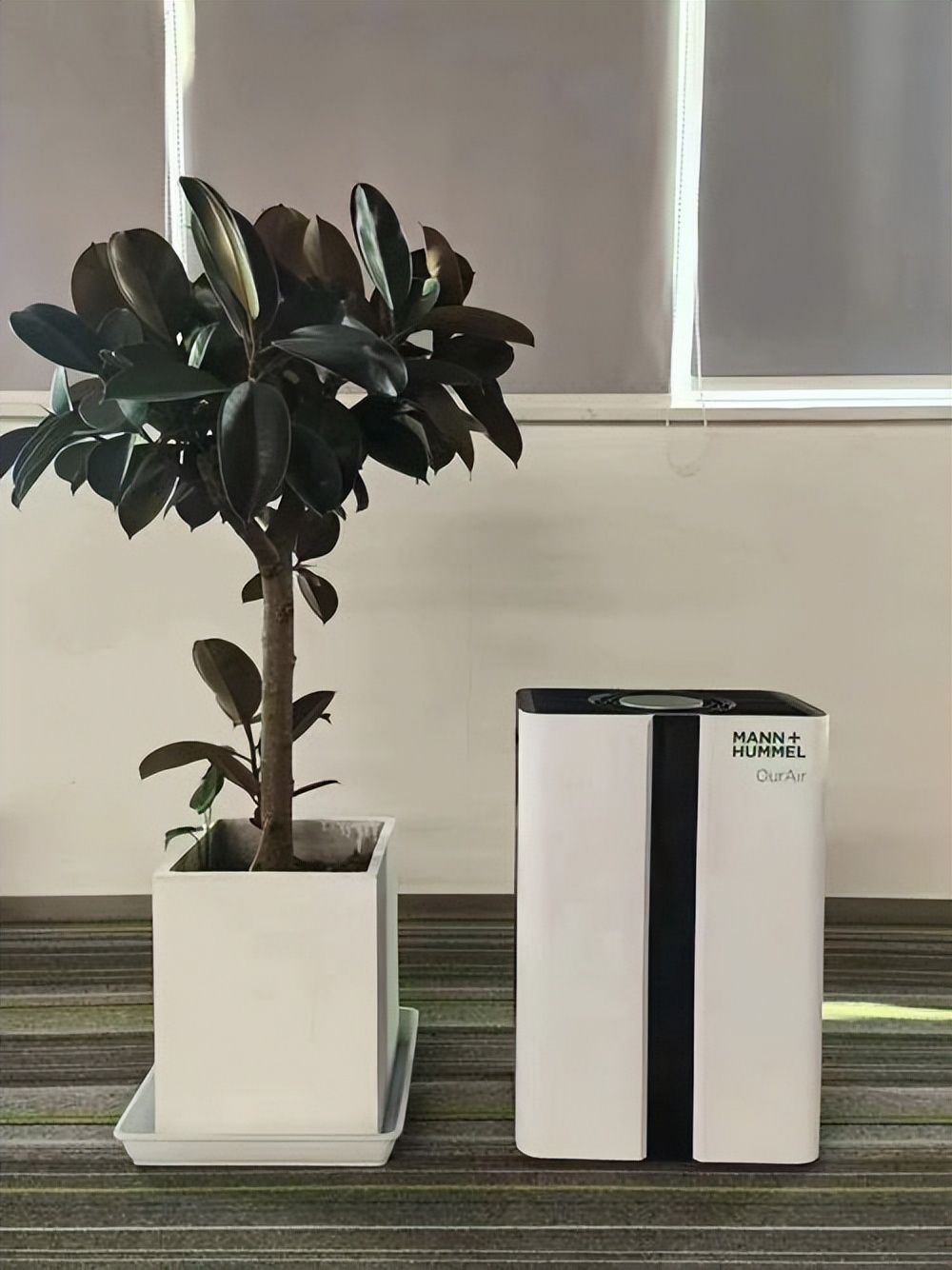 甲醛24小时除醛率检测方法,担心甲醛危害专家教你除醛小妙招