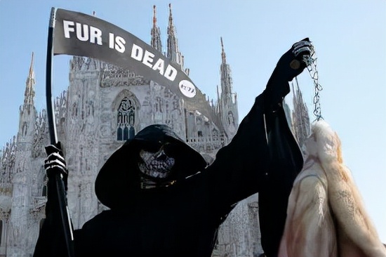 peta动物保护主义者,动物保护组织peta公益广告