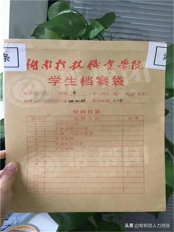 档案不见了怎么办理,档案不见了怎么找回