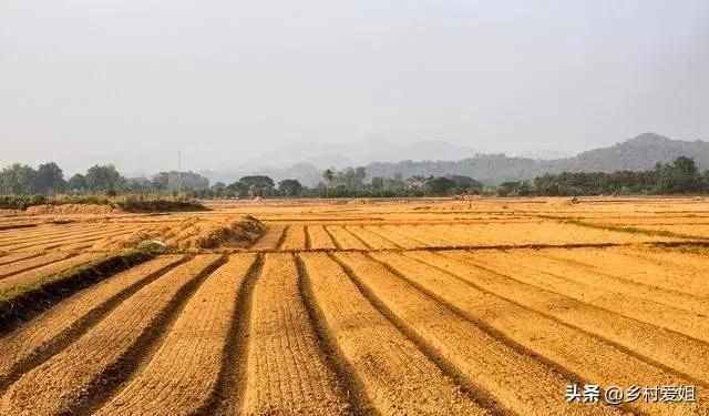 中央100亿补助农民如何下发的,目前中央决定对农民补助多少钱