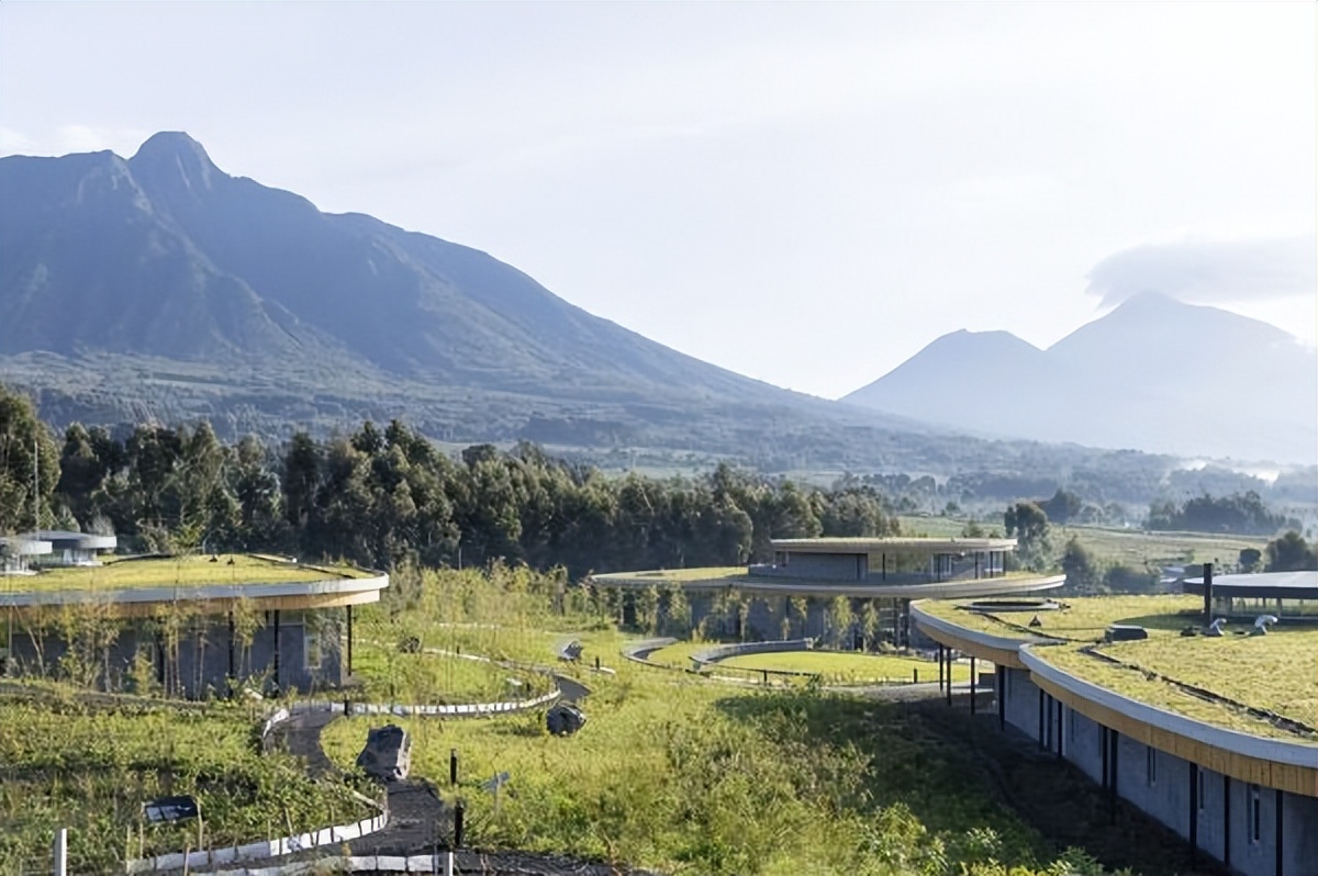 卢旺达猩猩保护区,卢旺达大猩猩保护区