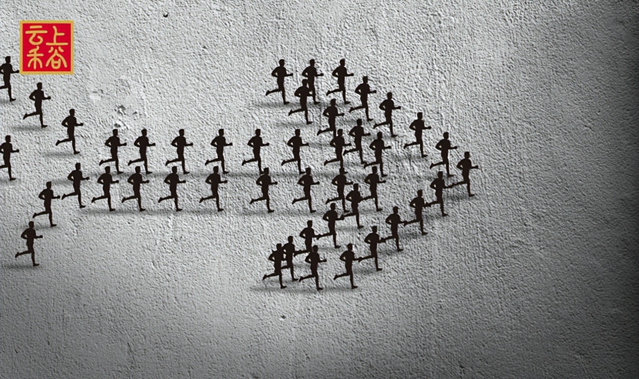 云上禾谷公司在哪里,云上禾谷营销模式