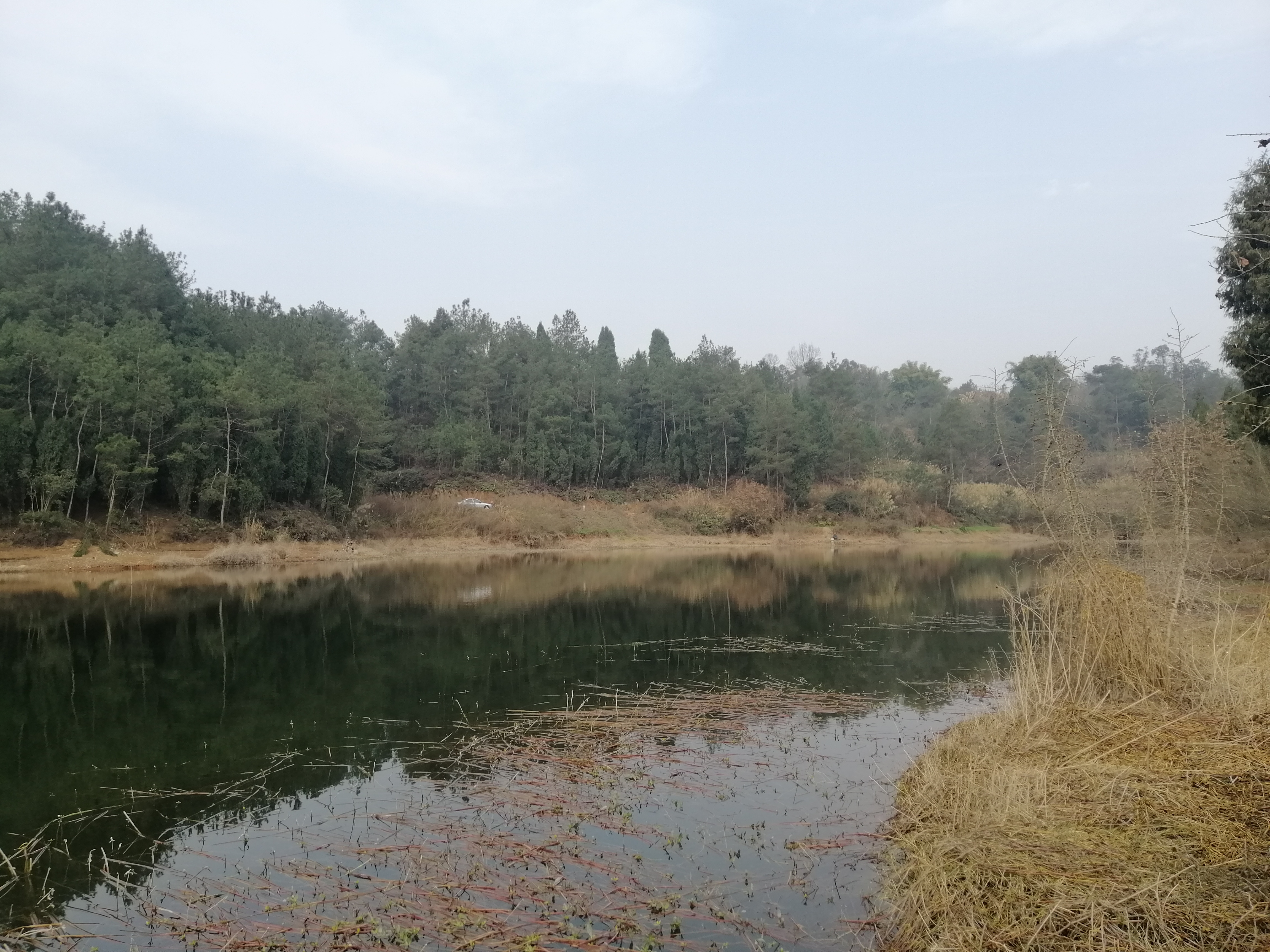 初春挑战攻略,初春挑战什么时候有