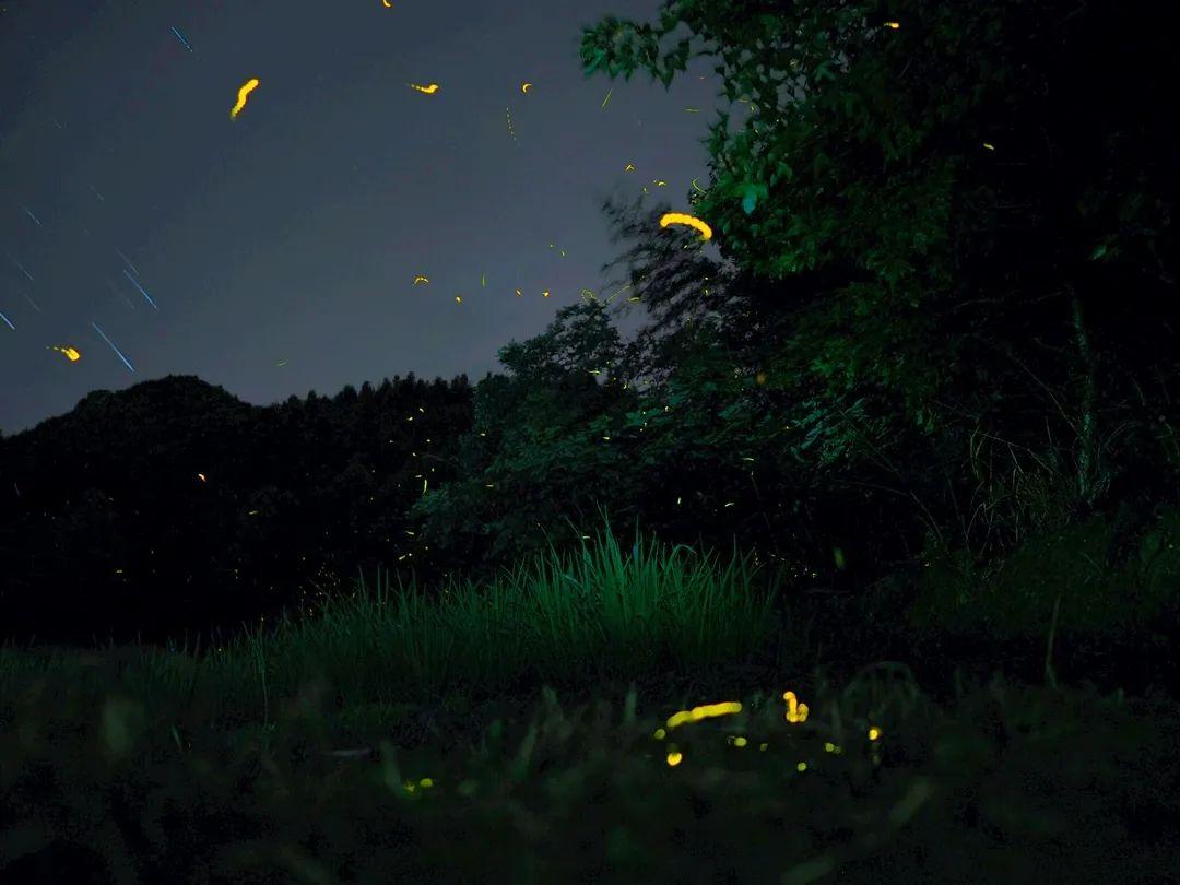 三明市国家a级旅游景区名录,三明旅游所有5a级景点