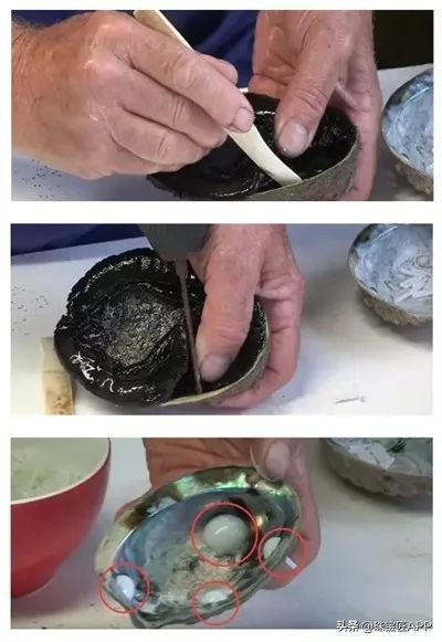 烧烤鲍鱼成品,鲍鱼里面也有珍珠