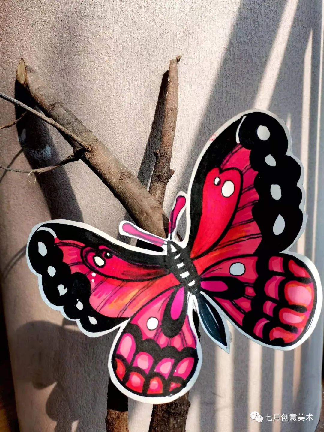 蝴蝶标本挂在墙上,蝴蝶标本制作方法