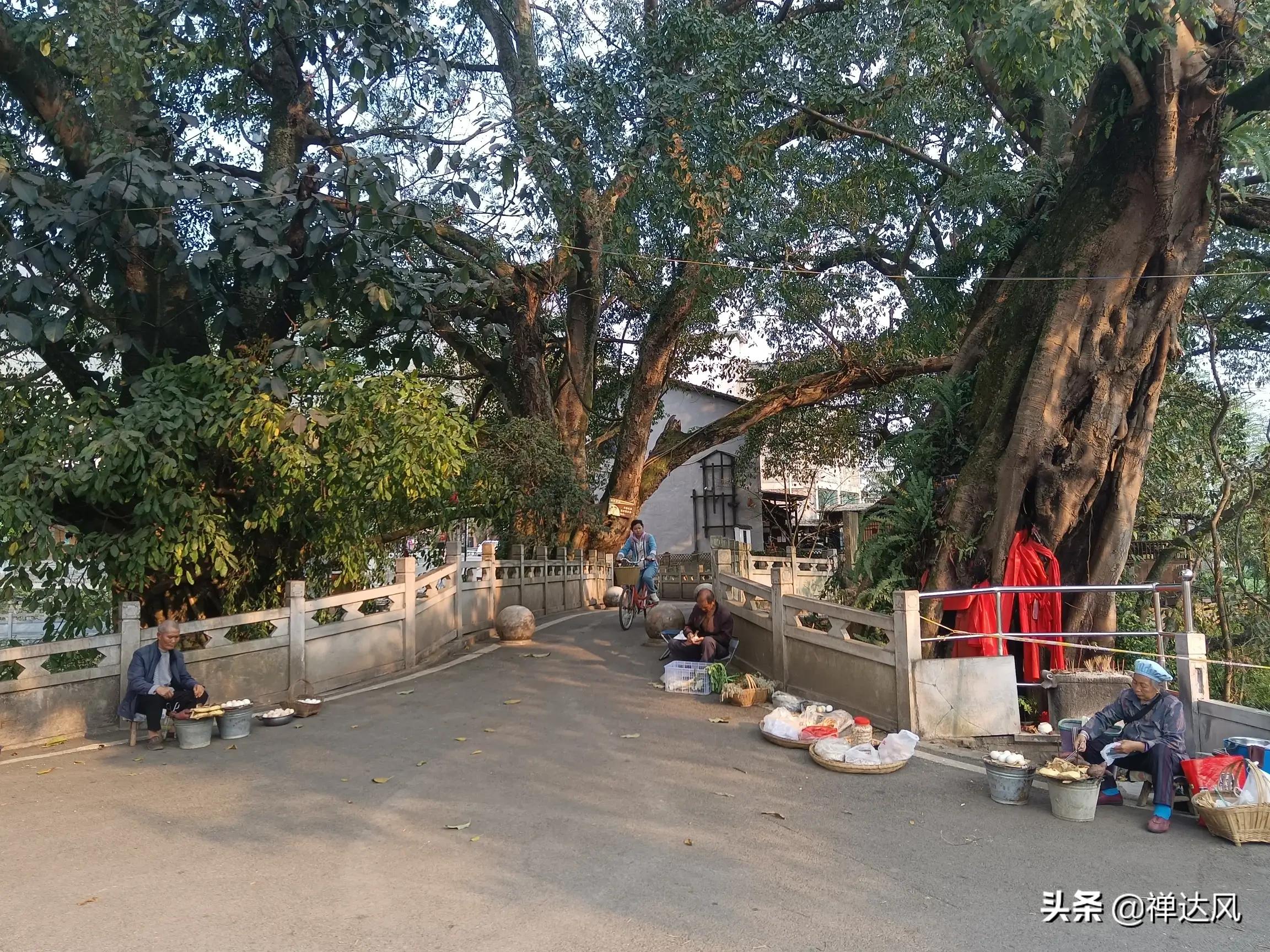 贵州深度旅游自由行,贵州旅游深山攻略