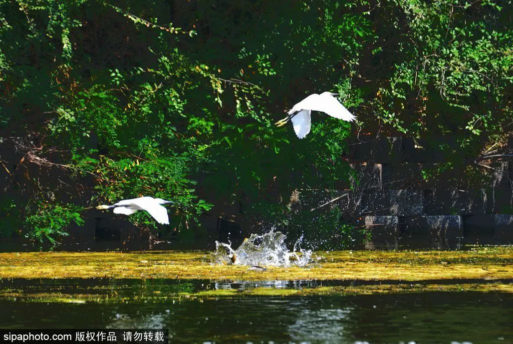 这些京郊避暑胜地,处处如入仙境!