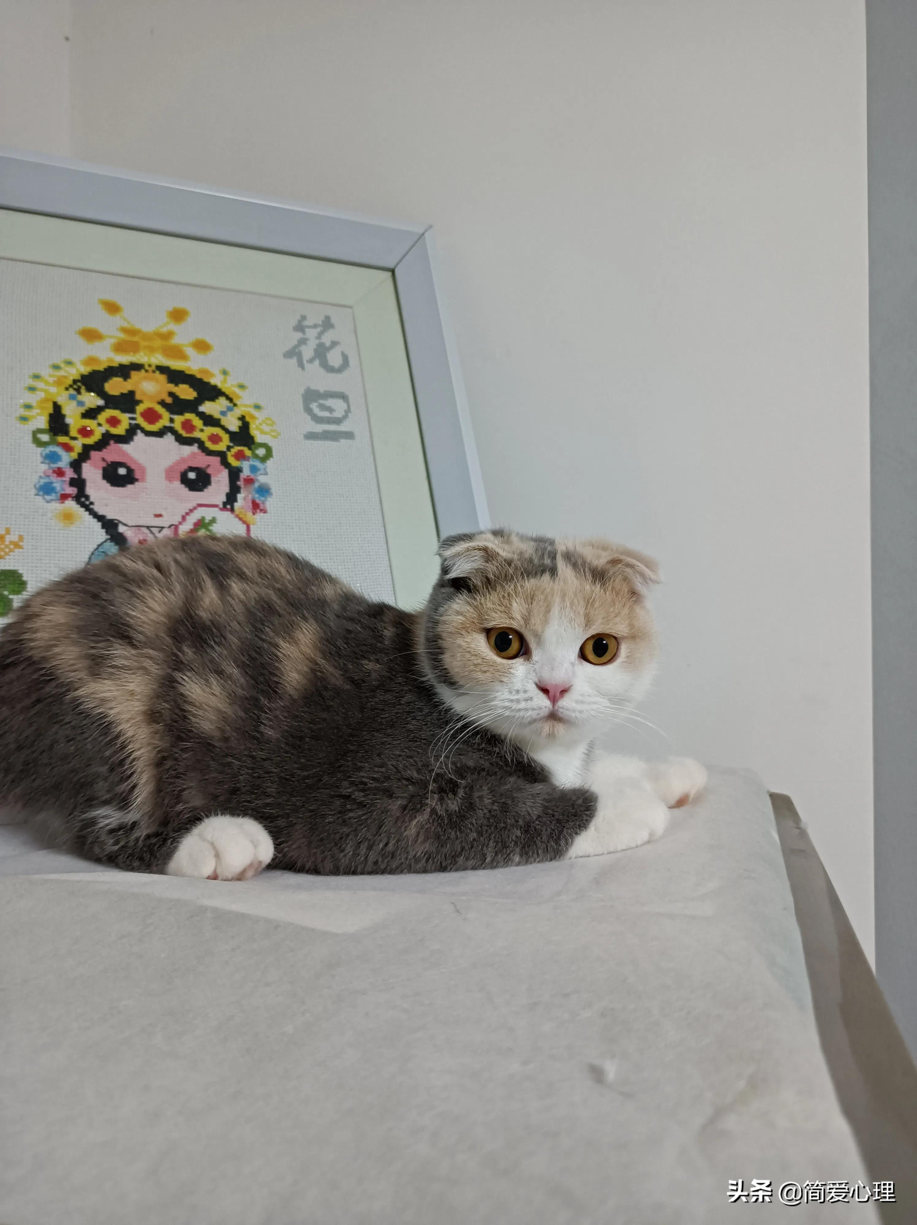 《团体咨询与心理治疗》：团体里的成长与众不同